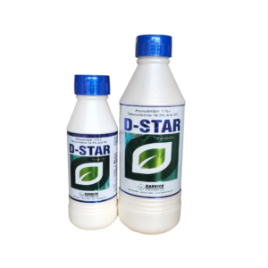 D Star