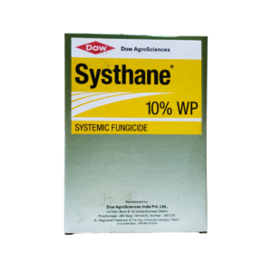 Syathane